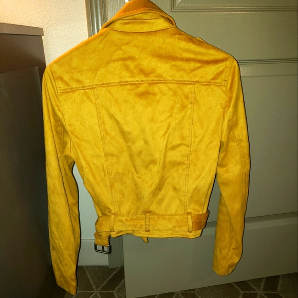 Jacket - Picture 4 of 8
